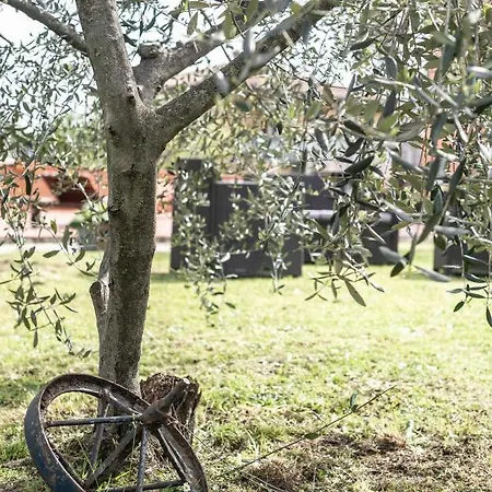 Gasthuis Relais Buonviaggio