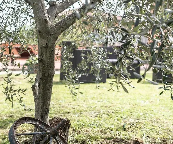 Pensionat Relais Buonviaggio